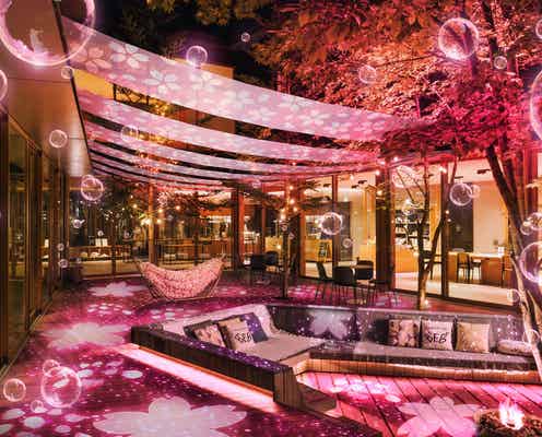 星野リゾート BEB5軽井沢で「夜桜チルナイト」初開催 真夜中まで桜を楽しむ春イベント
