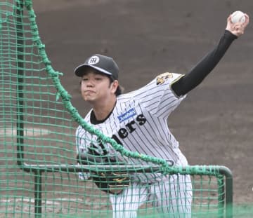 阪神・高橋 初ライブBPで鮮やか投球 浜田、熊谷らに安打性1 登板後の拍手に笑顔で会釈