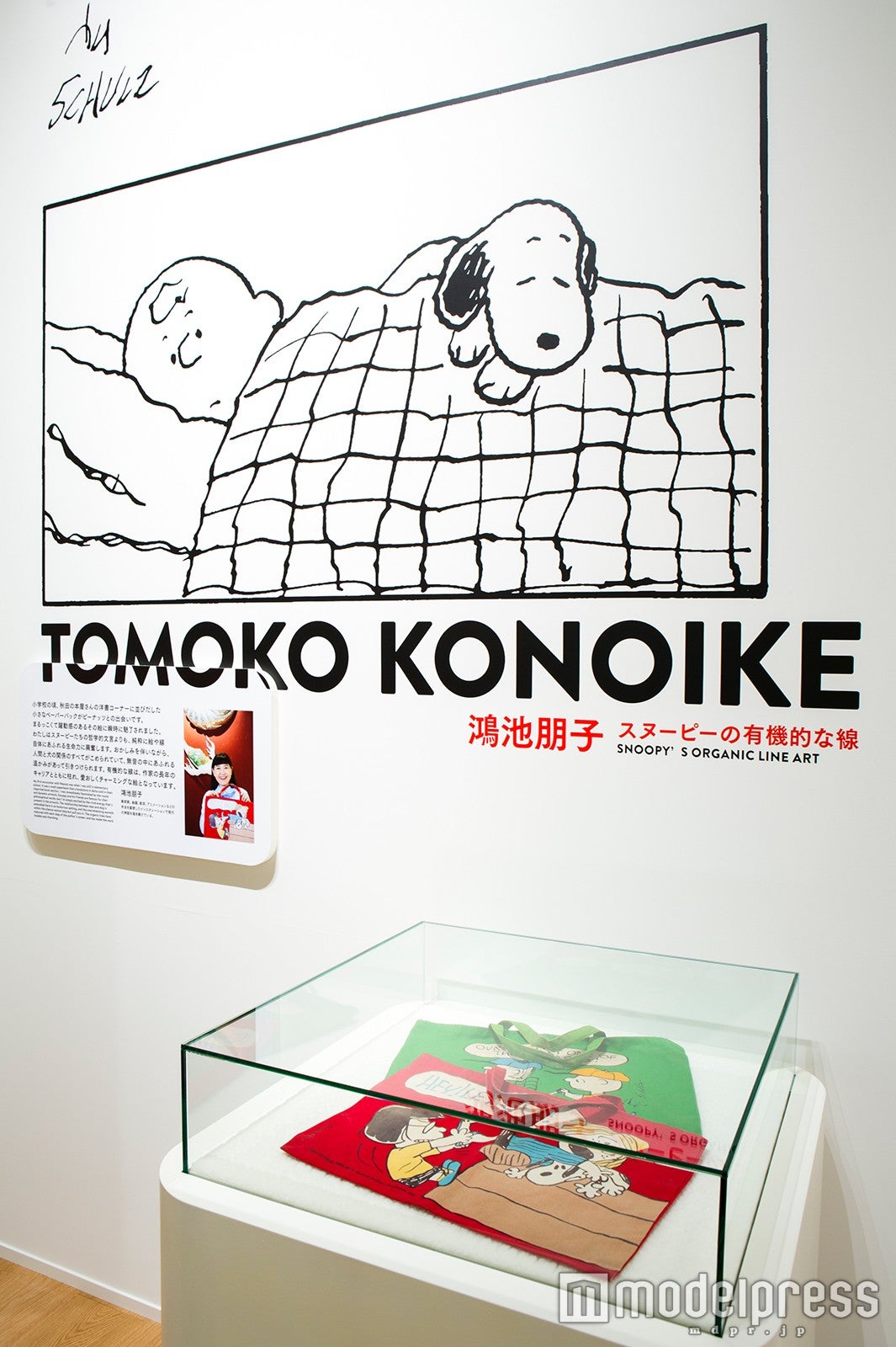 （C）Peanuts Worldwide LLC