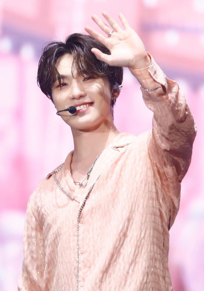 DINO(C)PLEDIS Entertainment