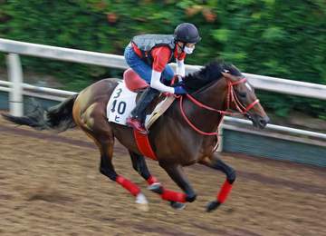 日経賞4着のエヒトが天皇賞・春の1週前追い切り 「距離は大丈夫です」と陣営