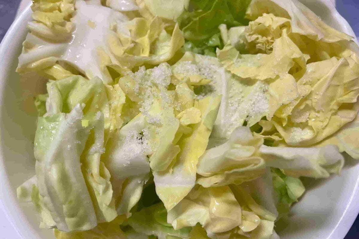 やみつき春キャベツ