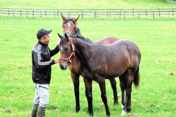 人馬の信頼関係を築き上げる日々 「イヤリング」部門の奮闘 辻牧場イヤリング厩舎長・東雄吾さんに聞く