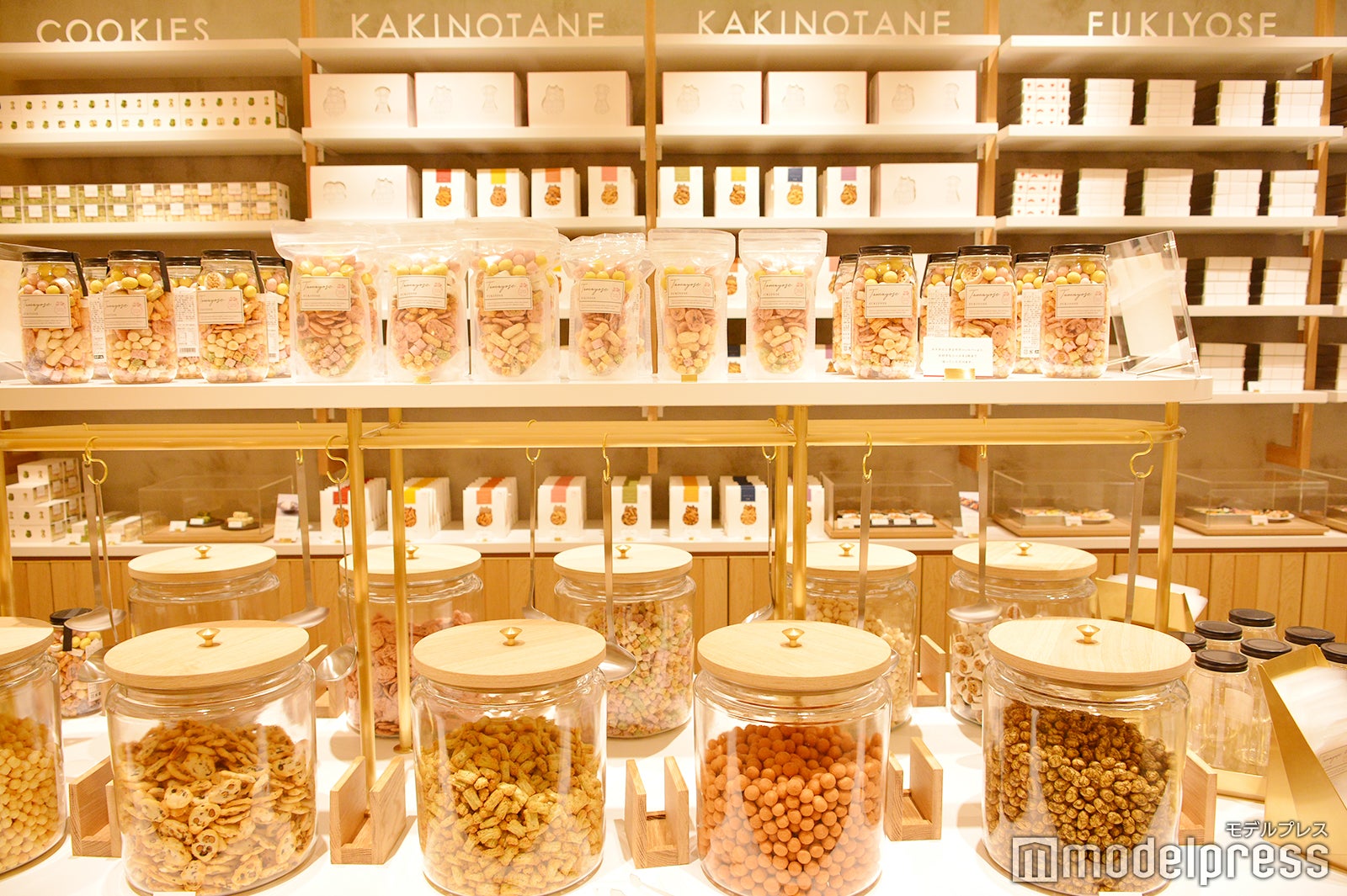 タマヨセ（C）モデルプレス