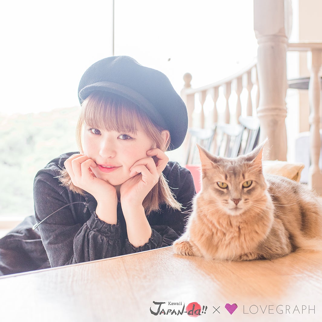 キャットタワー作りに挑戦（写真提供：MBS）