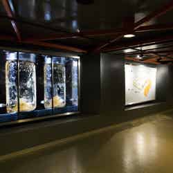 製造ライン(提供画像)