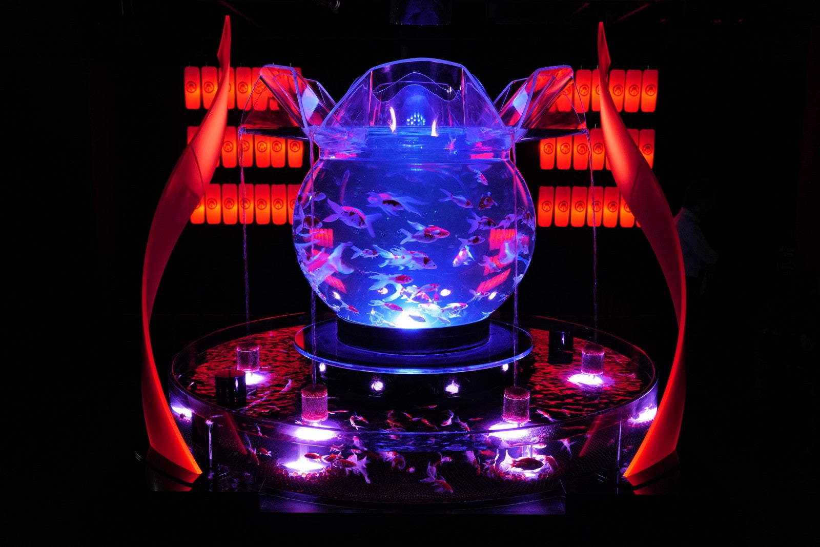夏のアートアクアリウム2024 華映え金魚祭／提供画像