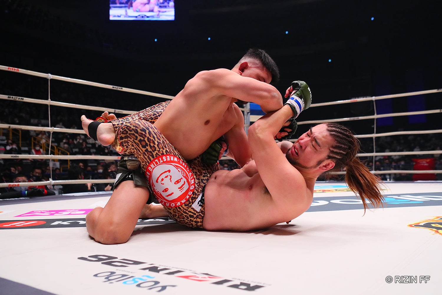 シバターVSHIROYA（C）RIZIN FF