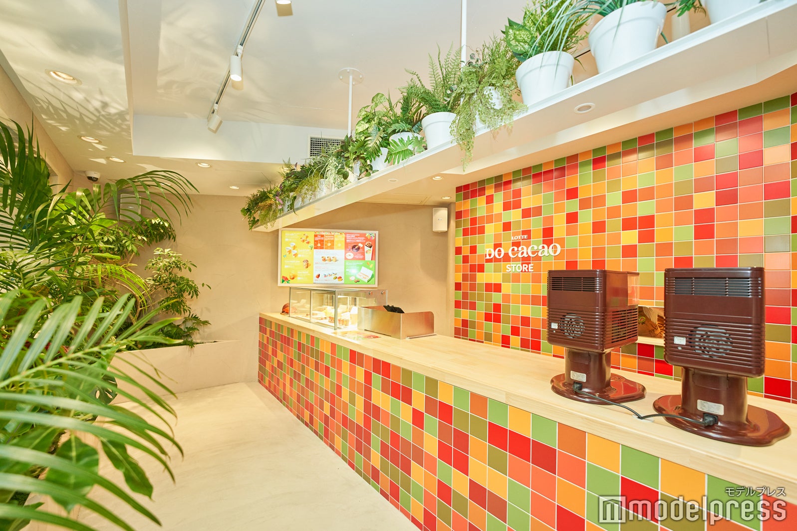 （C）モデルプレス