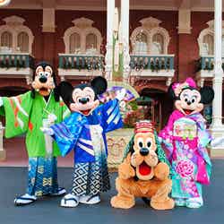 東京ディズニーランドのお正月／※写真はイメージです（C）Disney