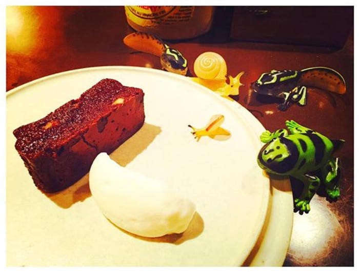 ガチャガチャのかえる、おたまじゃくし、かたつむり/山本美月LINEブログより