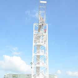 「お台場(バ)ンジー」