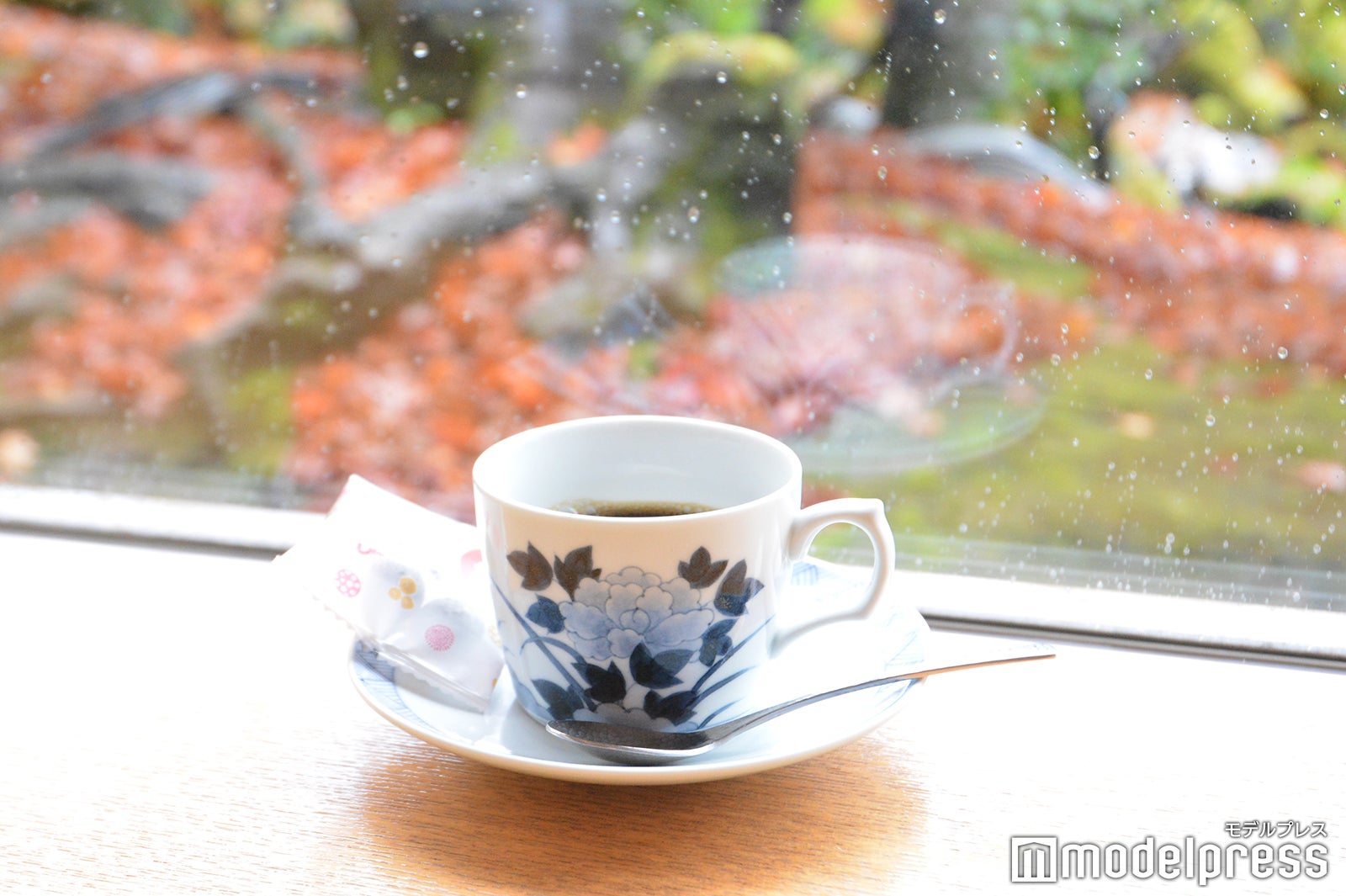 （C）モデルプレス