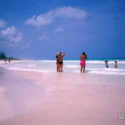 バハマのピンクサンドビーチ／写真提供：Getty Images