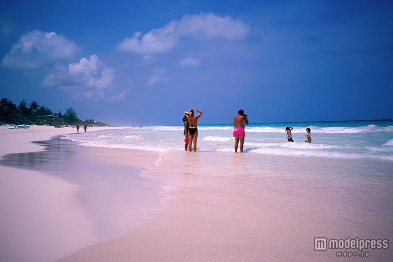バハマのピンクサンドビーチ／写真提供：Getty Images