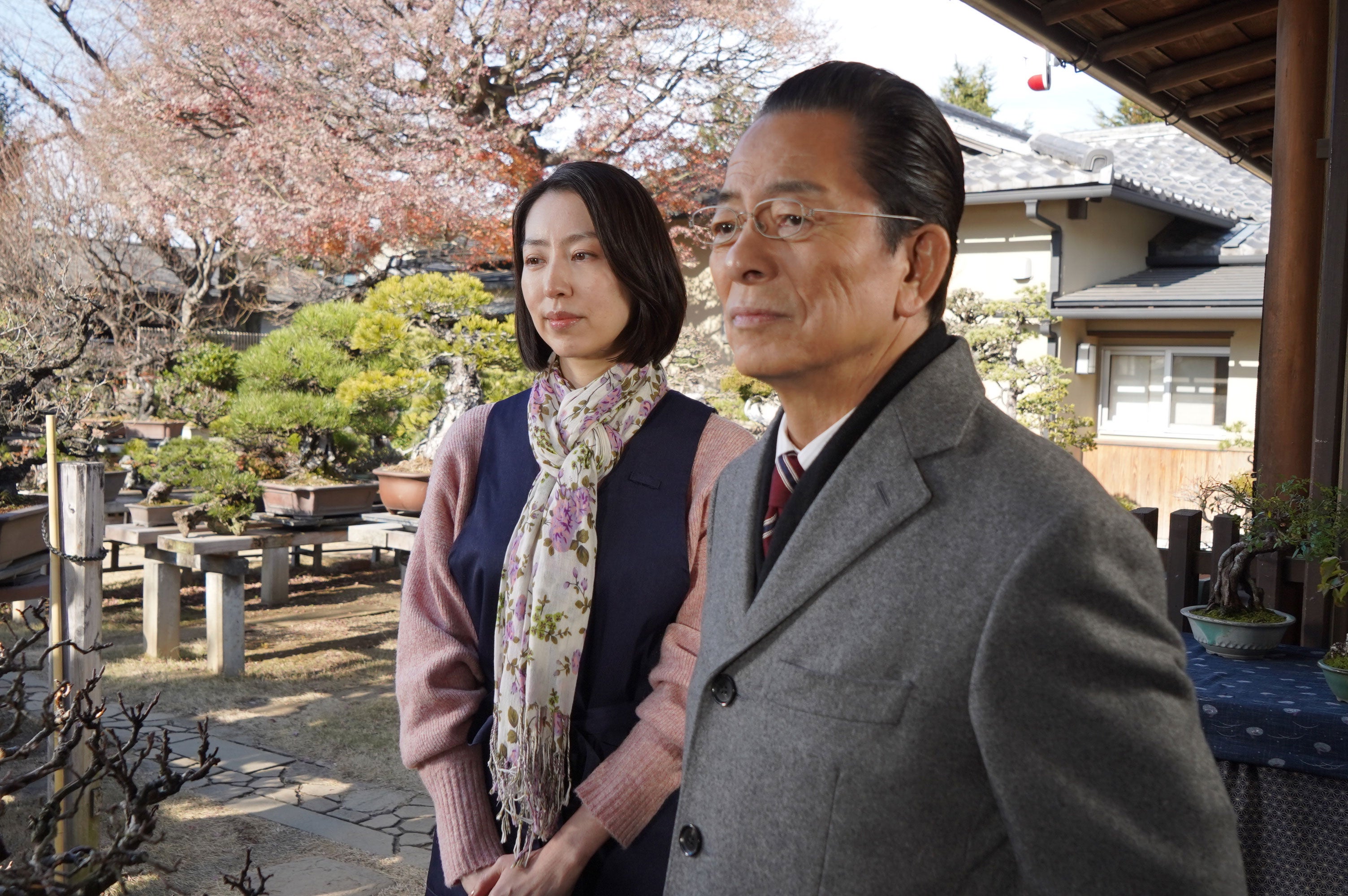 西山繭子、水谷豊「相棒 season23」第14話（C）テレビ朝日