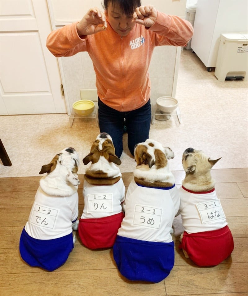 北斗晶 ドッグウェアブランド立ち上げ 犬用シャンプー発売を報告 おめでとう 可愛い の声 モデルプレス