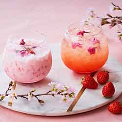 ストロベリーホリック~Barbie in Paris~/画像提供:ザ ストリングス 表参道