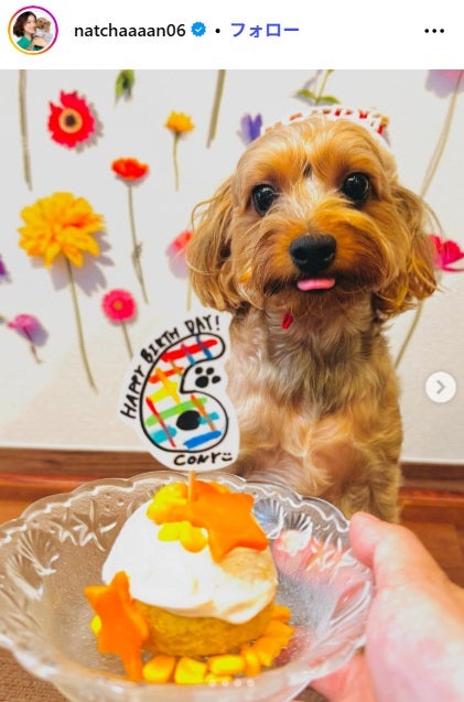 江藤菜摘Instagramより