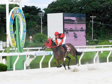 【地方競馬】ジョイドールが破格のタイムで兵庫ジュベナイルカップV デビュー2戦目で重賞初制覇