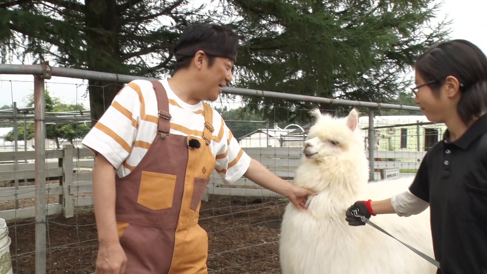 （左）坂上忍（C）フジテレビ