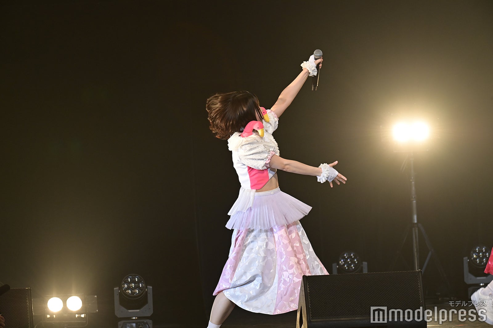 豆柴の大群（C）モデルプレス