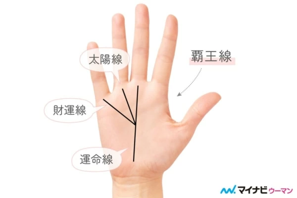 珍しい＆最強の手相「覇王線」を持つ人の2026年運勢は？【両手をチェック】