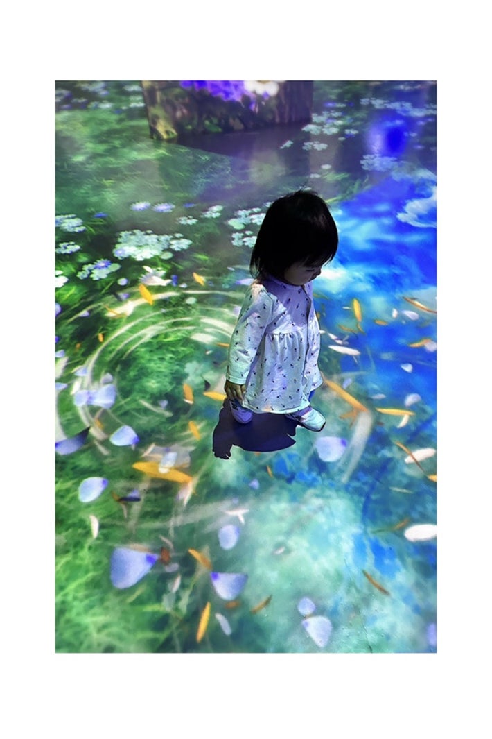 安めぐみ公式ブログより