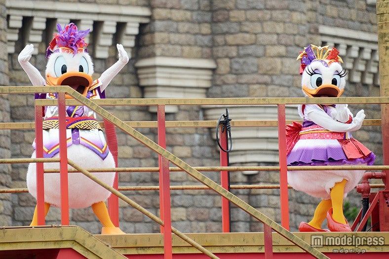 ドナルド、デイジー