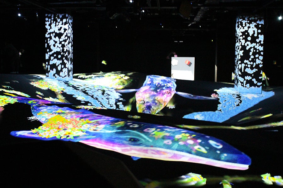 MORI Building DIGITAL ART MUSEUM: EPSON teamLab Borderles_運動の森s
