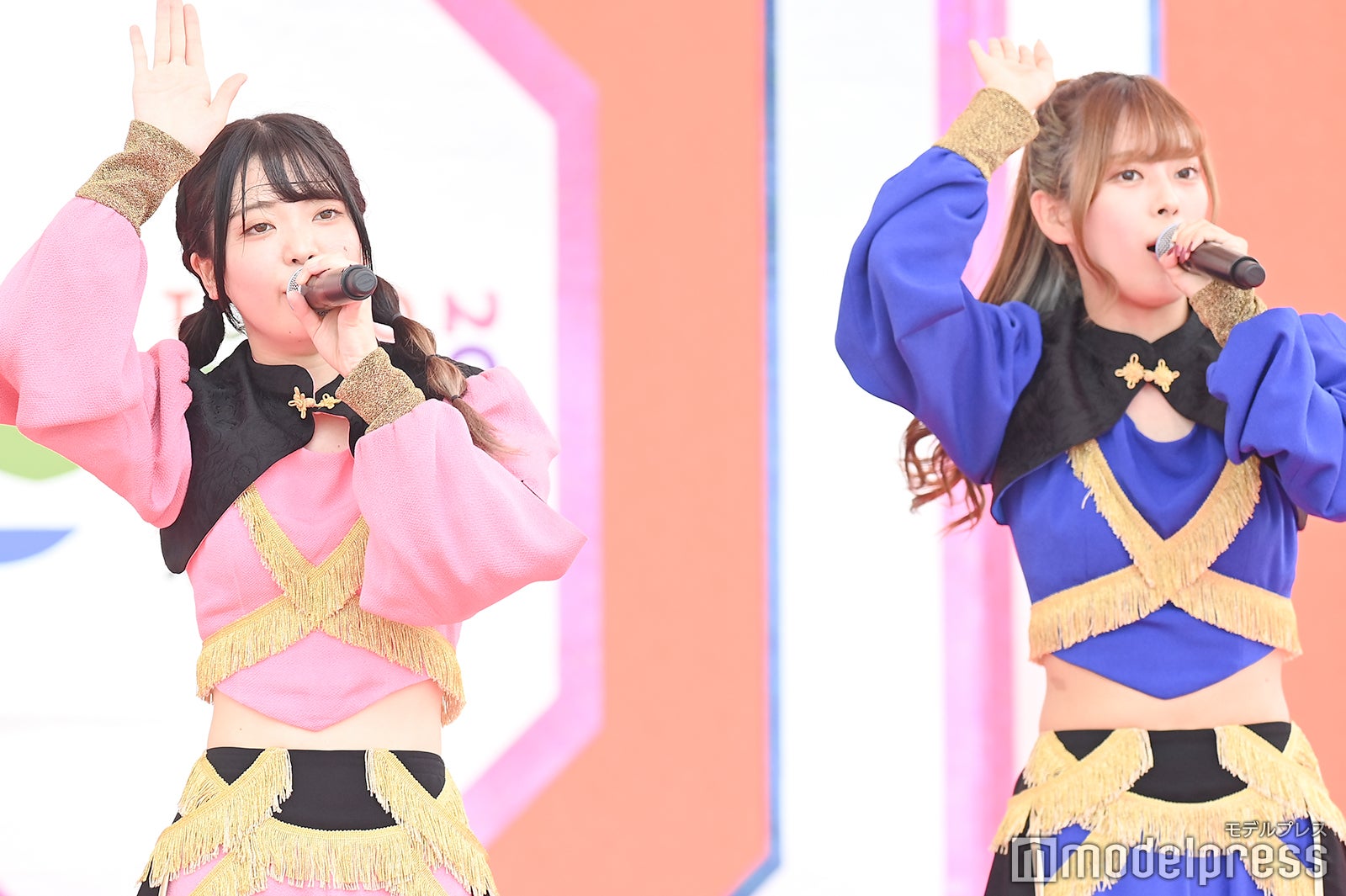 豆柴の大群（C）モデルプレス