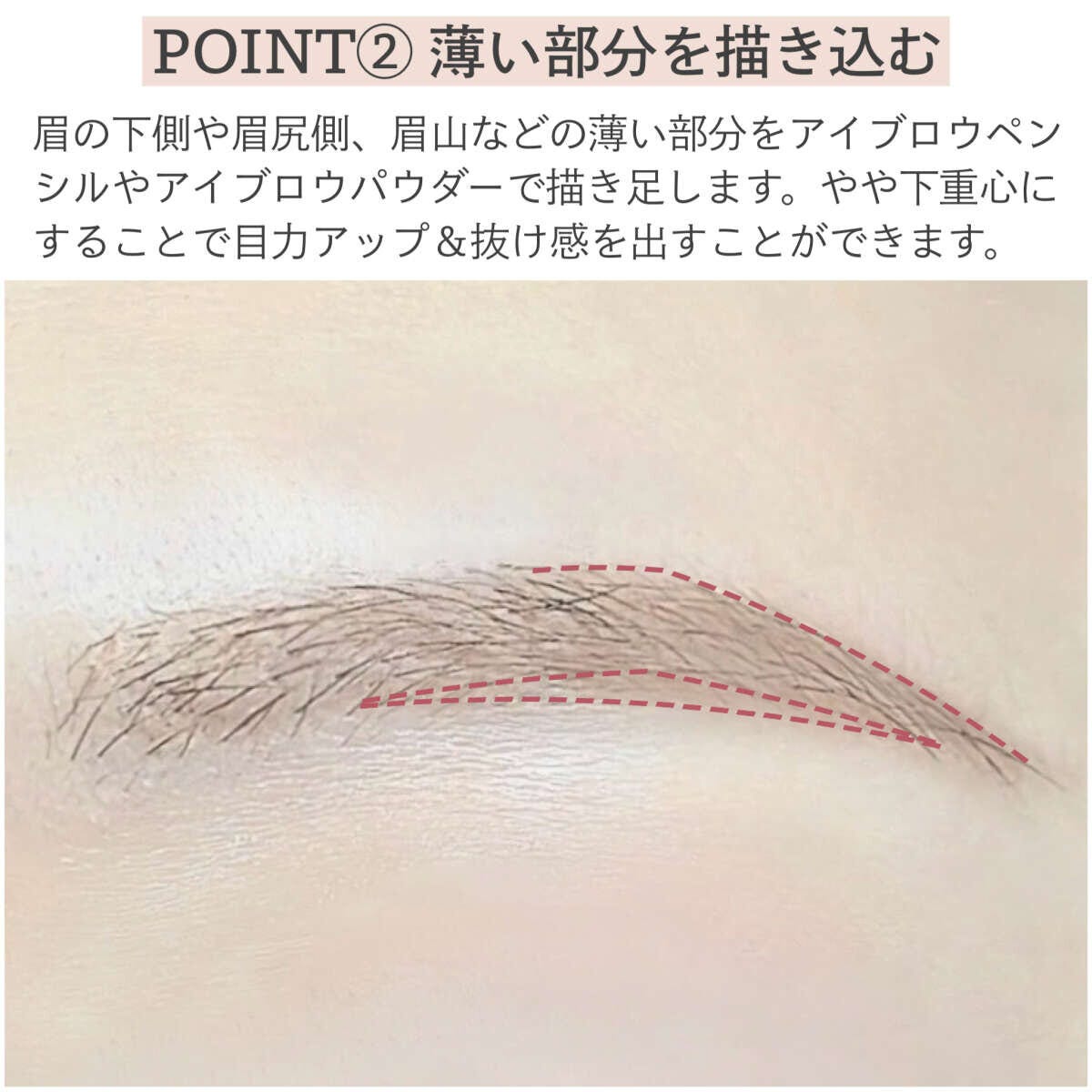 自眉が薄い眉尻・眉山・下側など描き足しエリアを示す眉のアップ