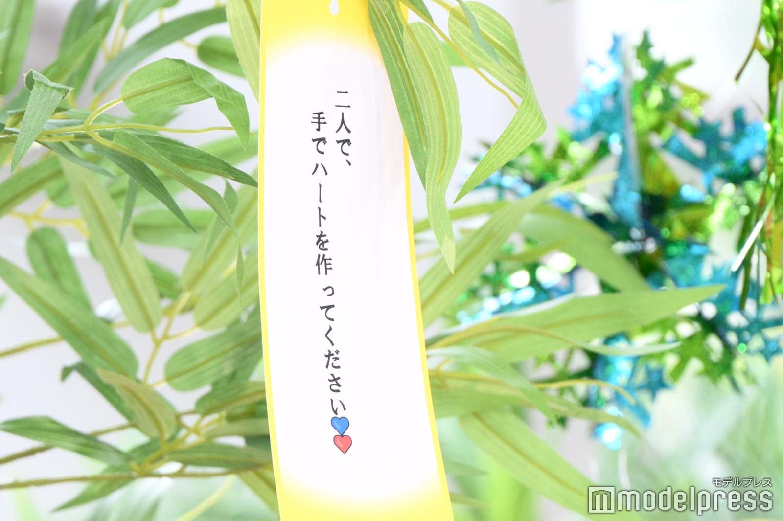 渡辺翔太＆中村アンが叶えた“願い事”（C）モデルプレス