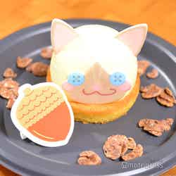 (C)モデルプレス