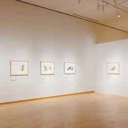 エリック・カール展 はじまりは、はらぺこあおむし/提供画像