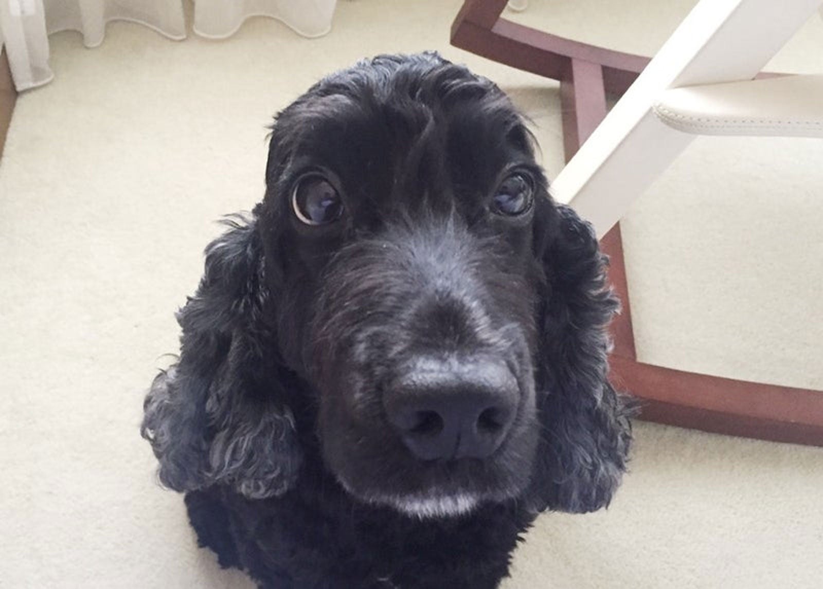 高橋克典オフィシャルブログ（提供写真）