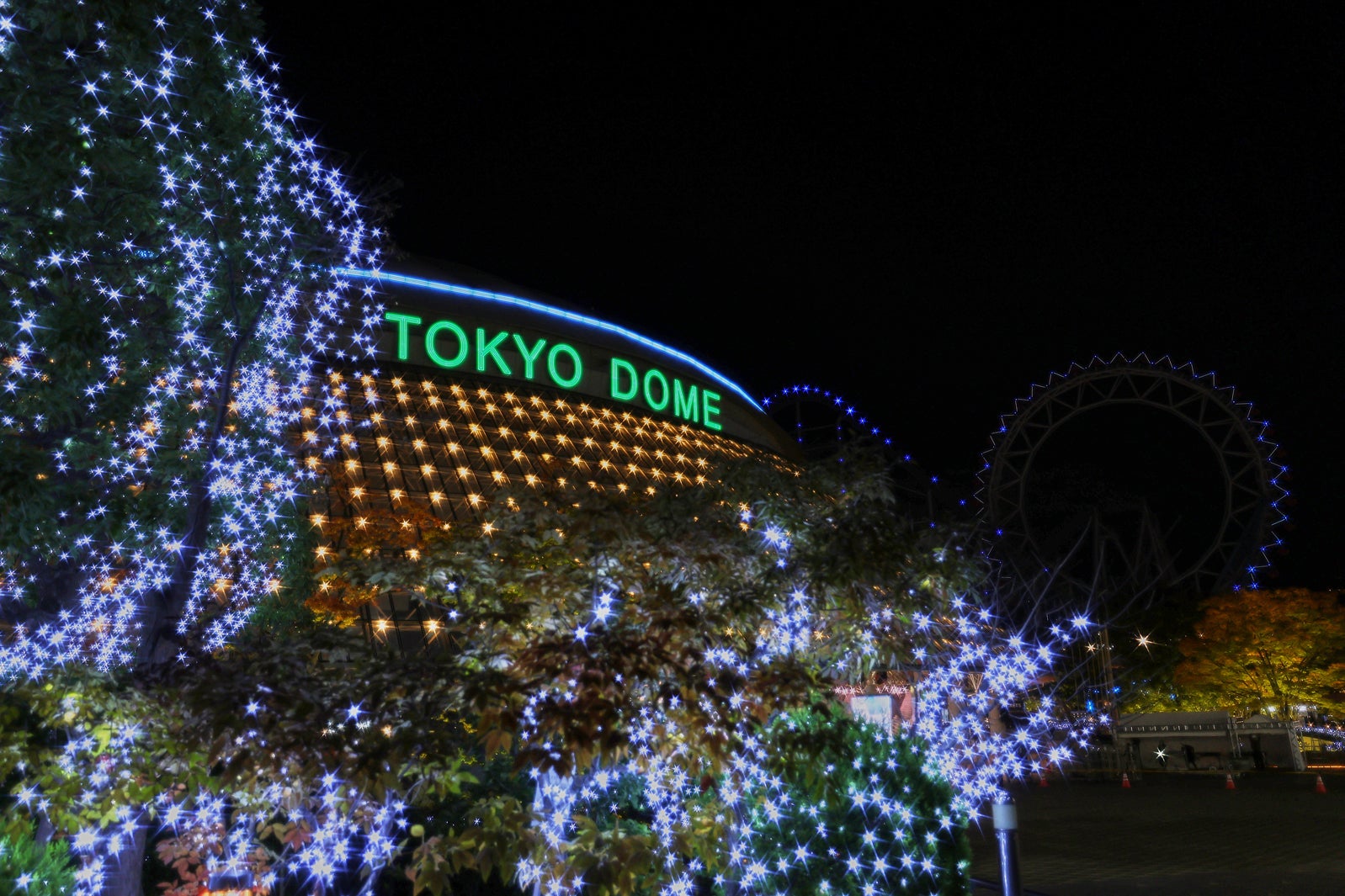 「TOKYO SNOW DOME CITY」（提供写真）