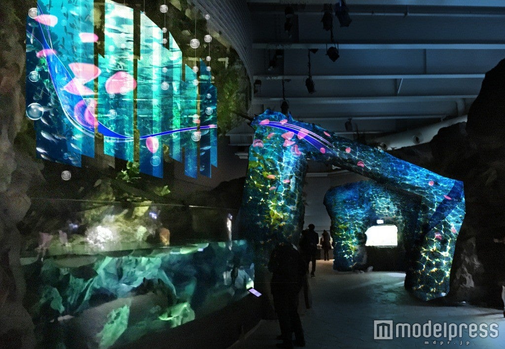 水陰（みかげ）／画像提供：横浜八景島