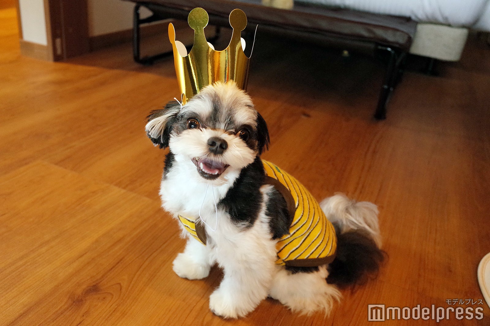 Dear Wan Spa Garden（C）モデルプレス