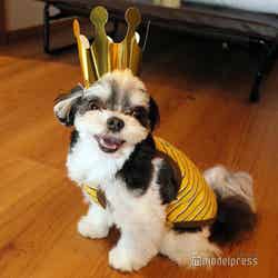 Dear Wan Spa Garden(C)モデルプレス