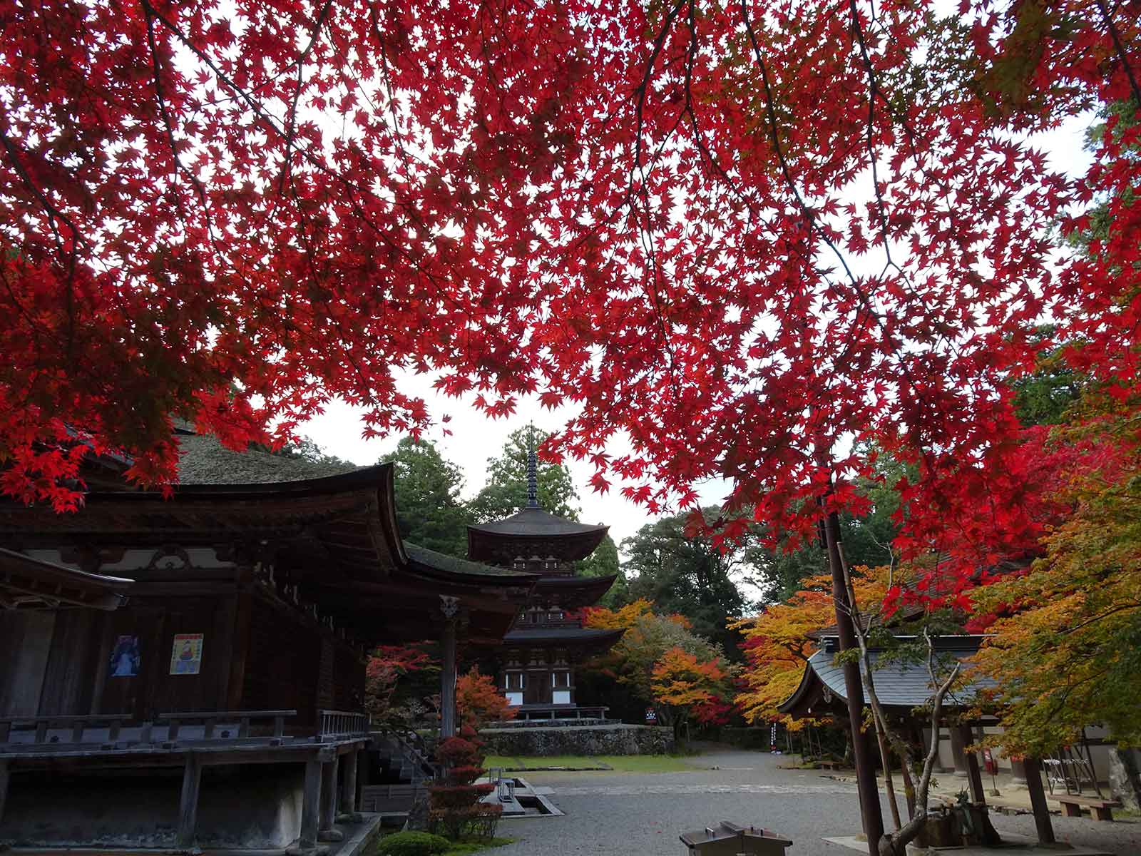 西明寺／画像提供：公益社団法人びわこビジターズビューロー