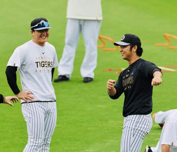 阪神 井坪が1軍今季初昇格 ファームで打率・345と好調 浜田が2軍へ
