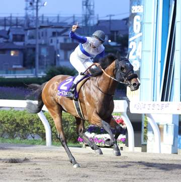 【地方競馬】さきたま杯 ロードフォンスが3度目の調整でJpn1初制覇 安田翔師は「ゴール番に入った時は涙が出ました」と感無量