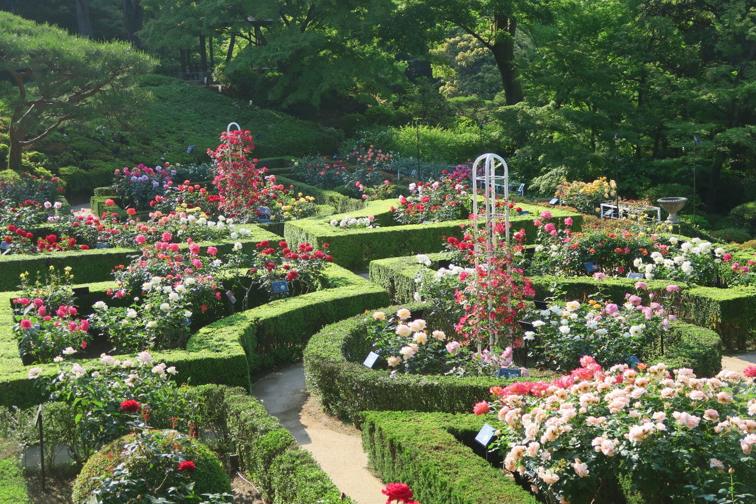 まるで迷路のような形状の庭園（提供画像）