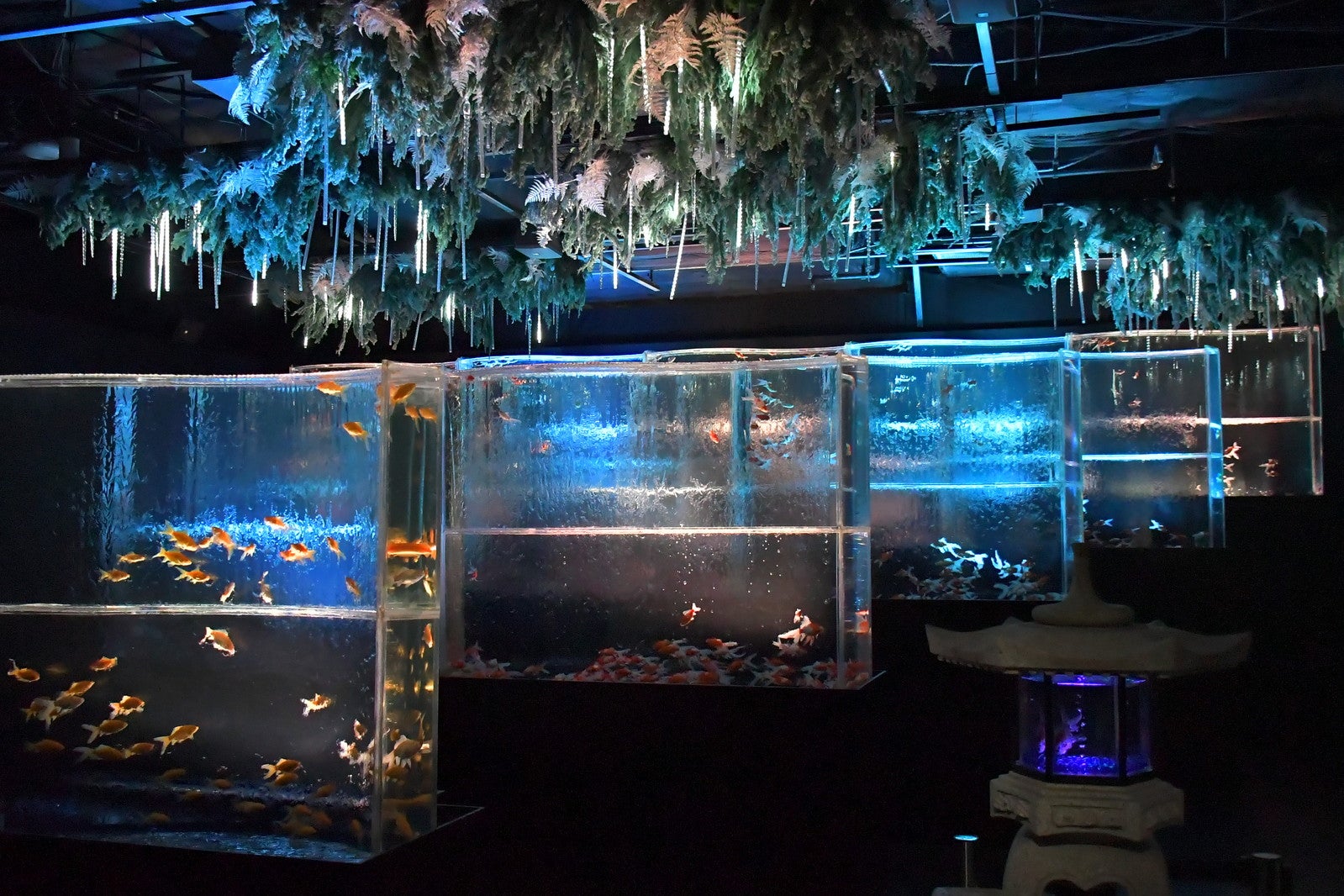 金魚と幻想の銀世界／提供画像