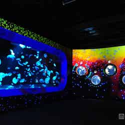 「海洋ゾーン(無脊椎の世界)」の3Dプロジェクションマッピング