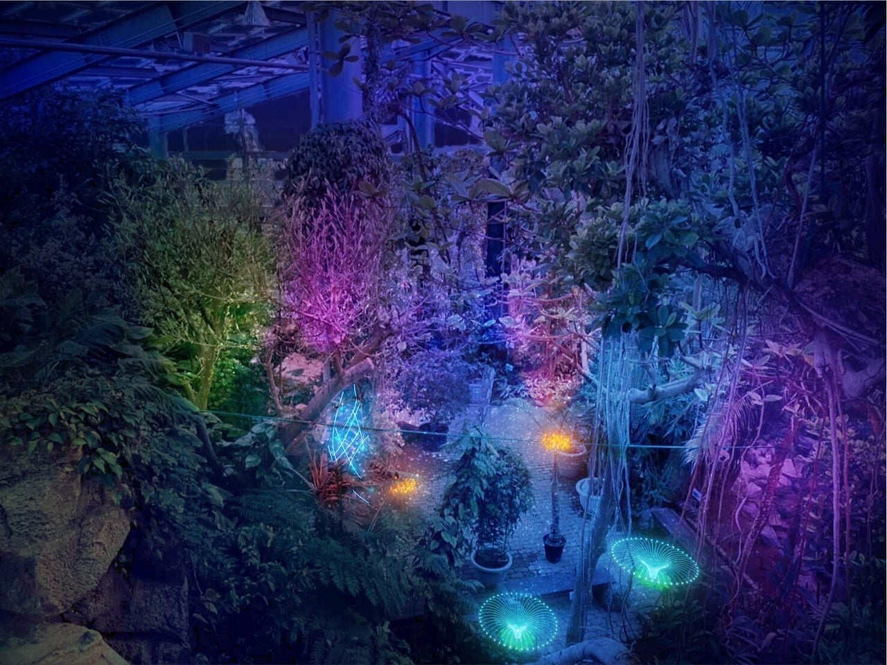 熱帯植物館のライトアップイメージ／提供画像
