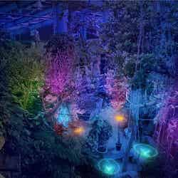 熱帯植物館のライトアップイメージ/提供画像