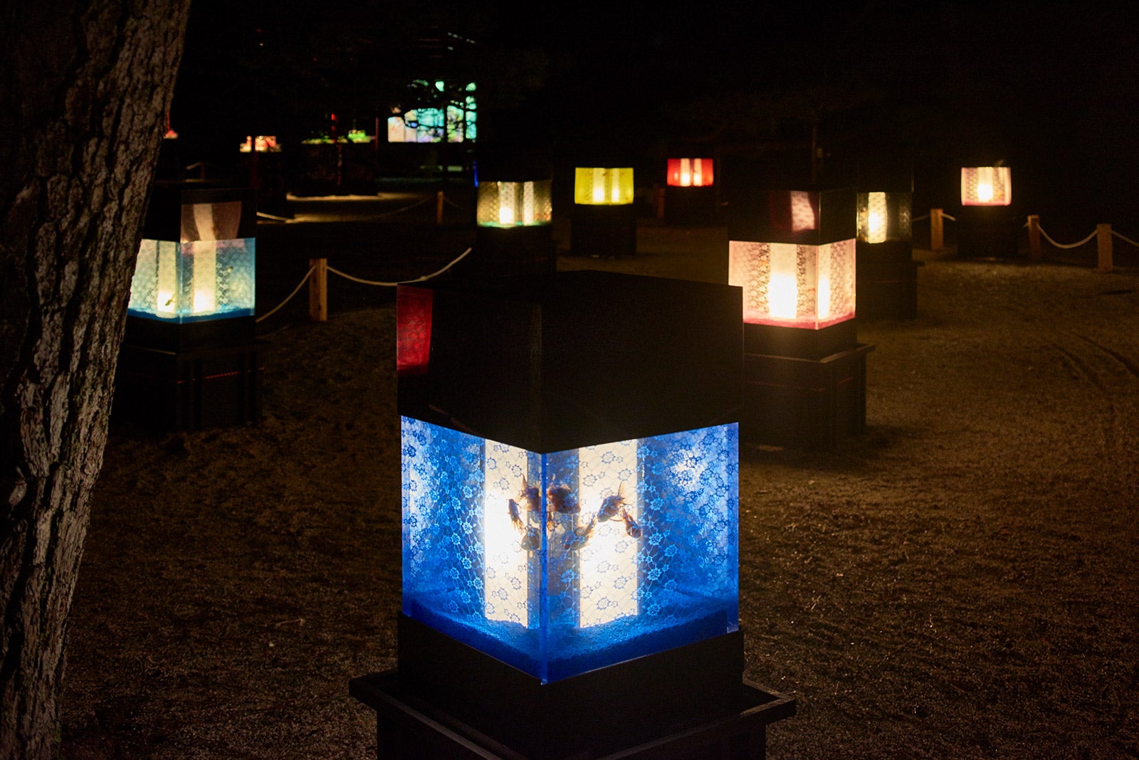 アンドンリウム／画像提供：アートアクアリウム博多実行委員会