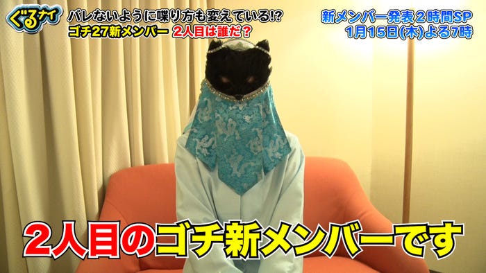 「ぐるナイ」ゴチ新メンバー(C)日本テレビ